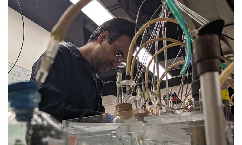 ‘Rock-breathing’ bacteria are electron spin doctors, study shows